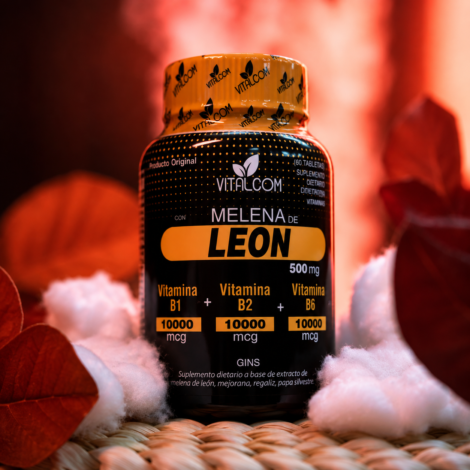 melena_de_leon_1